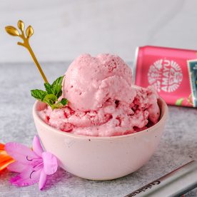 Bowl of camu camu ice cream