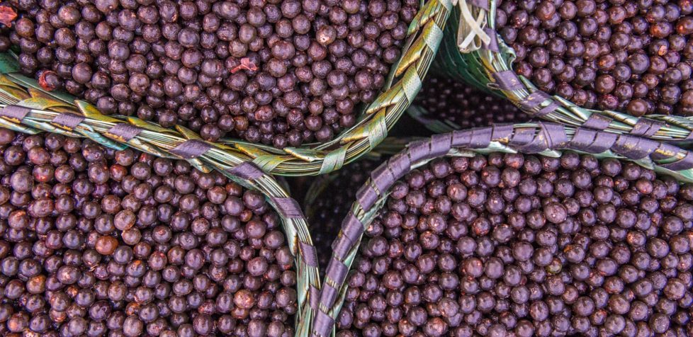 Açaí berries in baskets