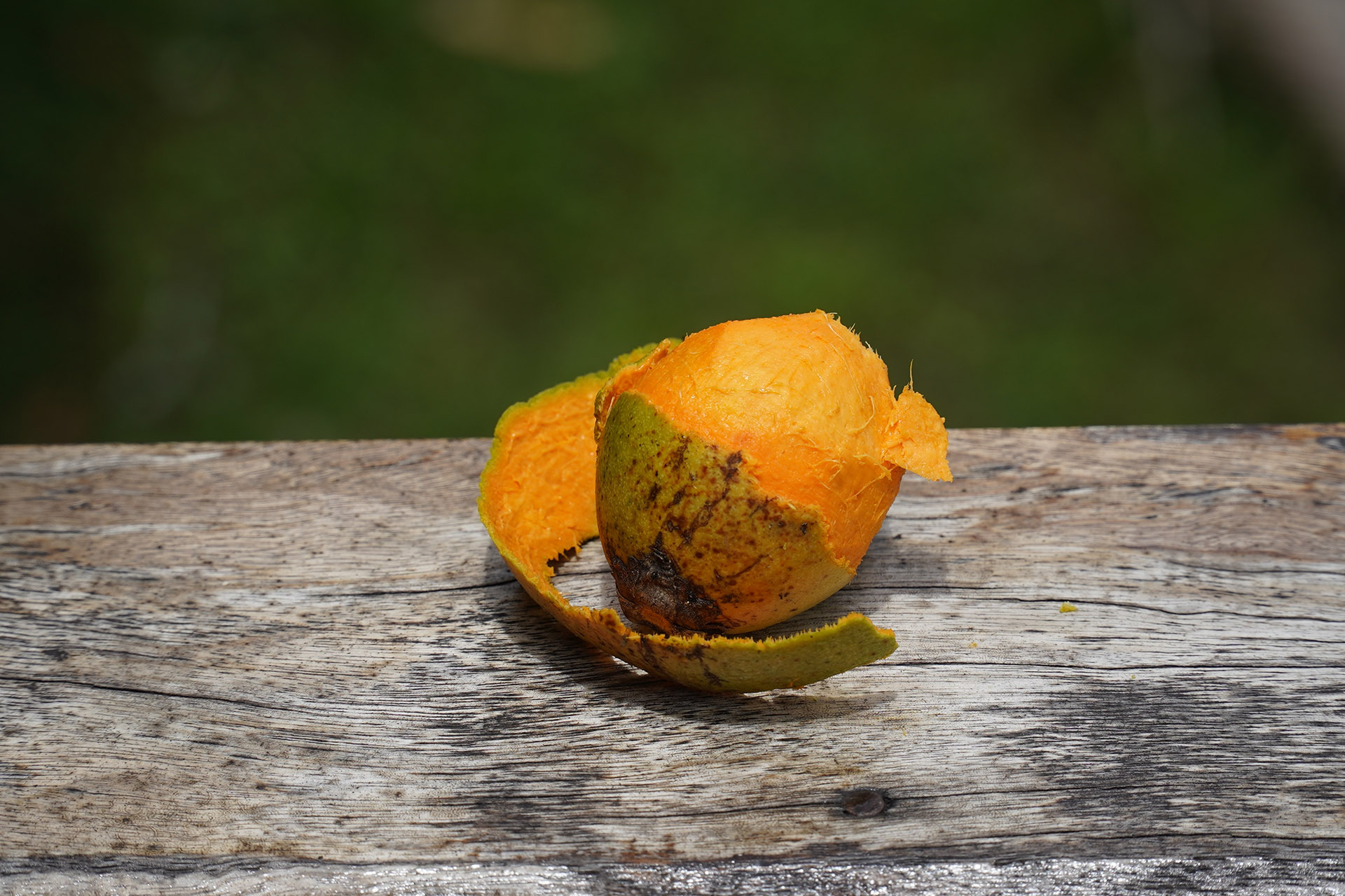 Unveiling the Wonders: Everything You Need to Know About Tucuma - AMAYU